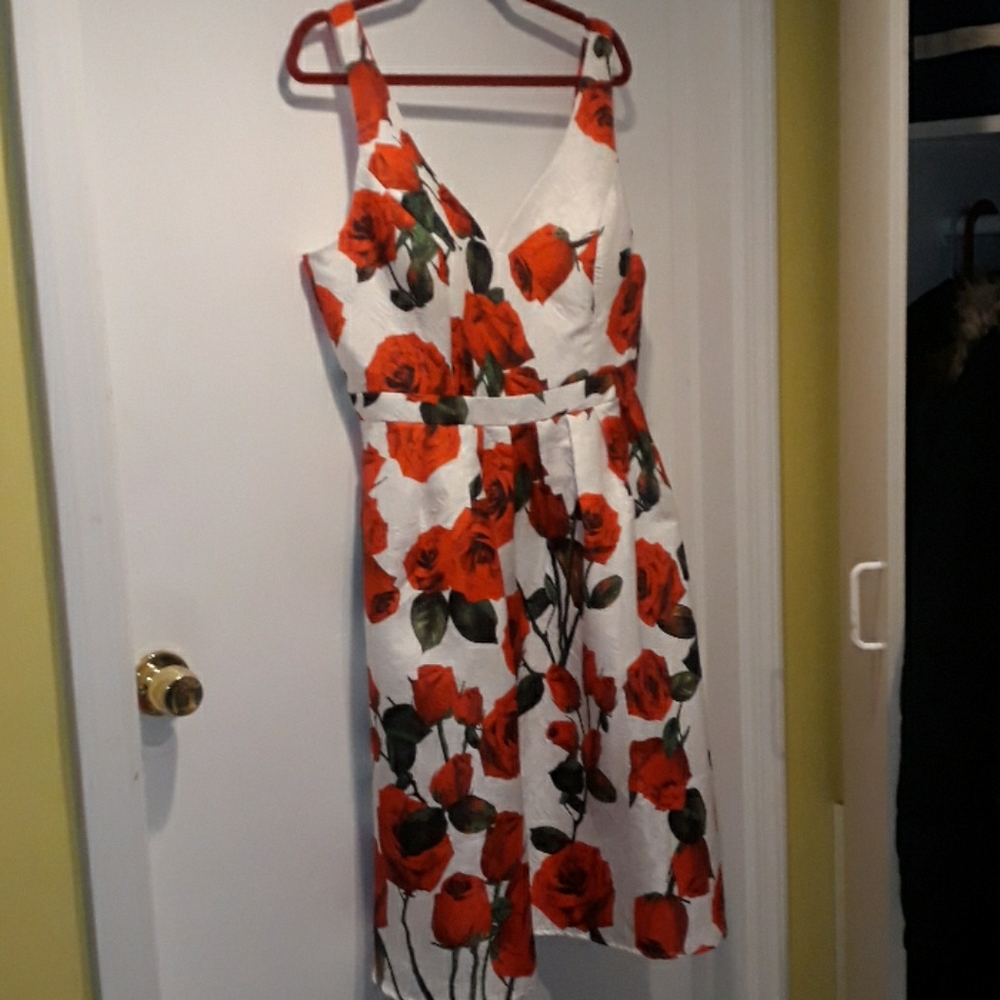 Chi Chi of London red rose floral dress Size 14